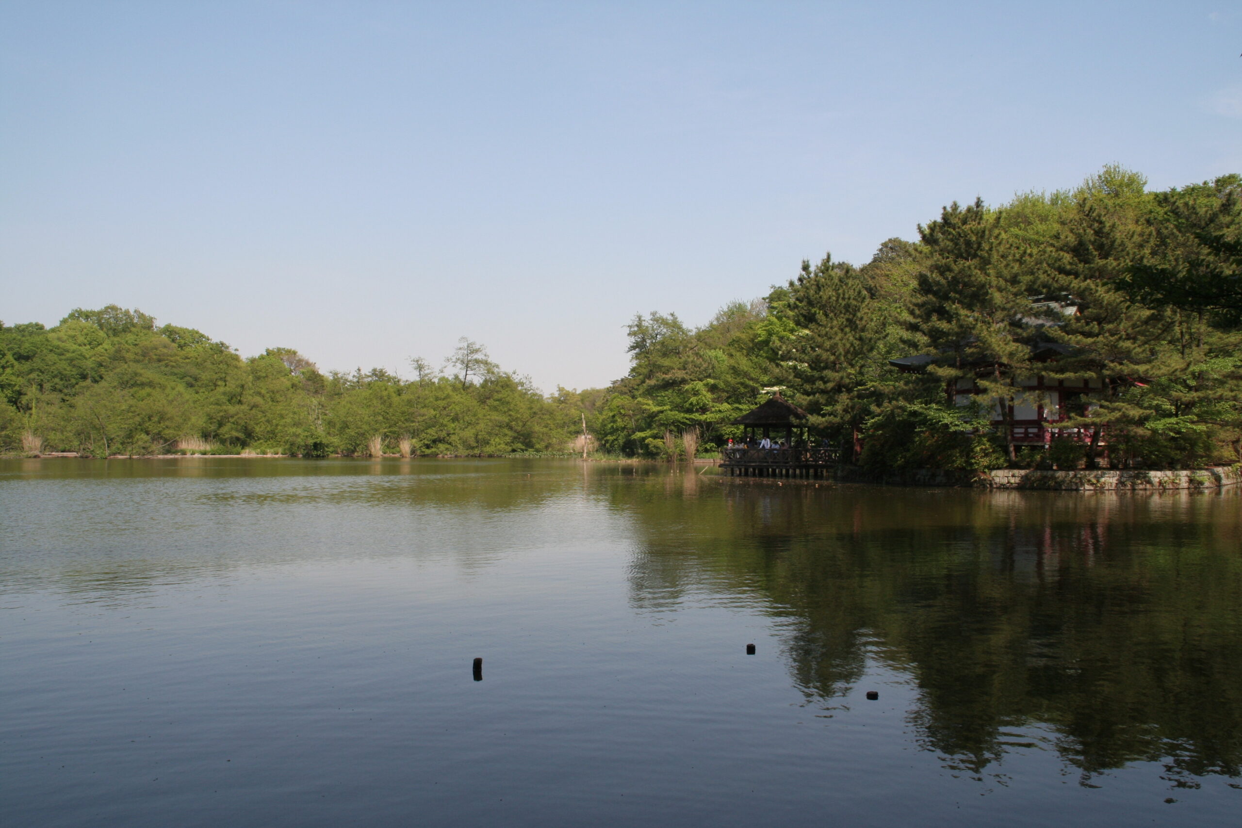 練馬区・石神井公園 三宝寺池の風景